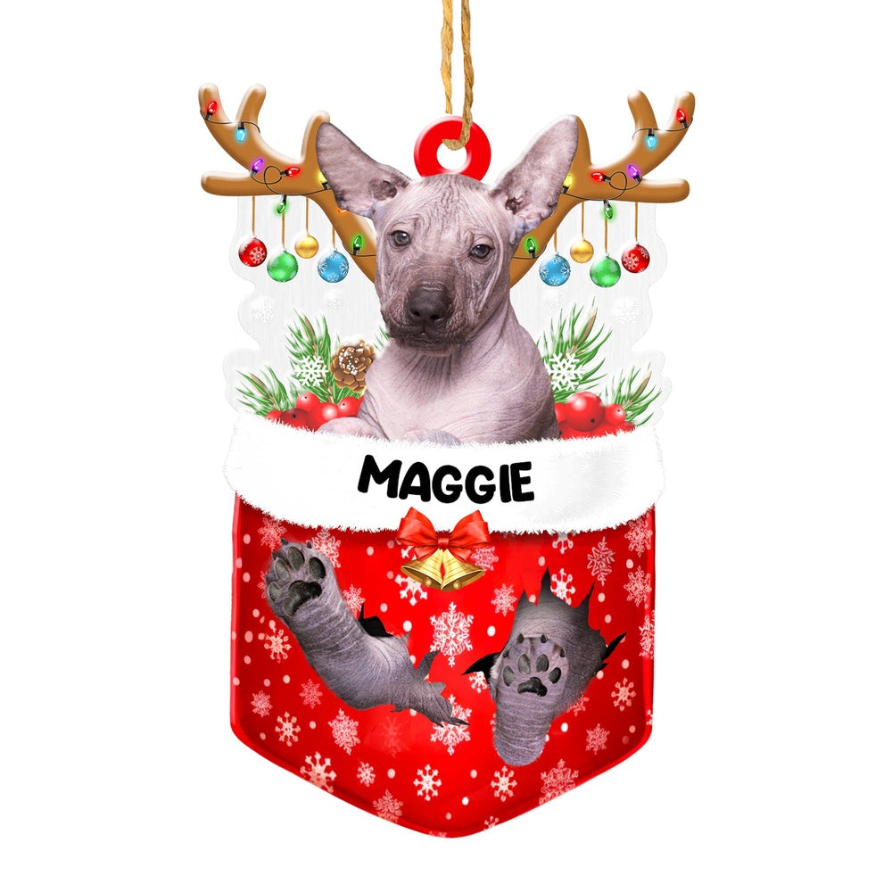 Christmas Dog Ornament, Personalized Mexican Hairless Dog In Snow Pocket Christmas Acrylic Ornament, New Dog Christmas Ornament