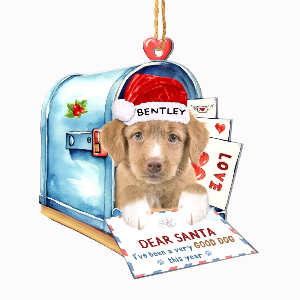 Christmas Dog Ornament, Personalized Nova Scotia Duck Tolling Retriever In Mailbox Christmas Ornament, New Dog Christmas Ornament