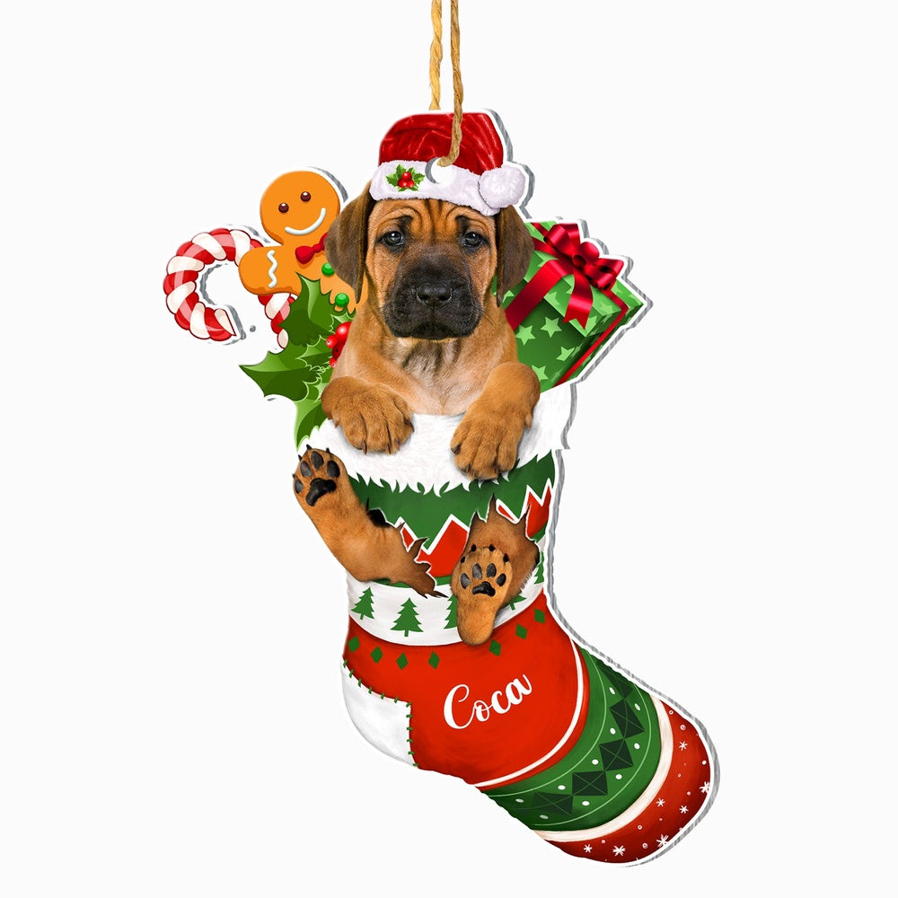 Christmas Dog Ornament, Personalized Rhodesian Ridgeback In Christmas Stocking Ornament, New Dog Christmas Ornament