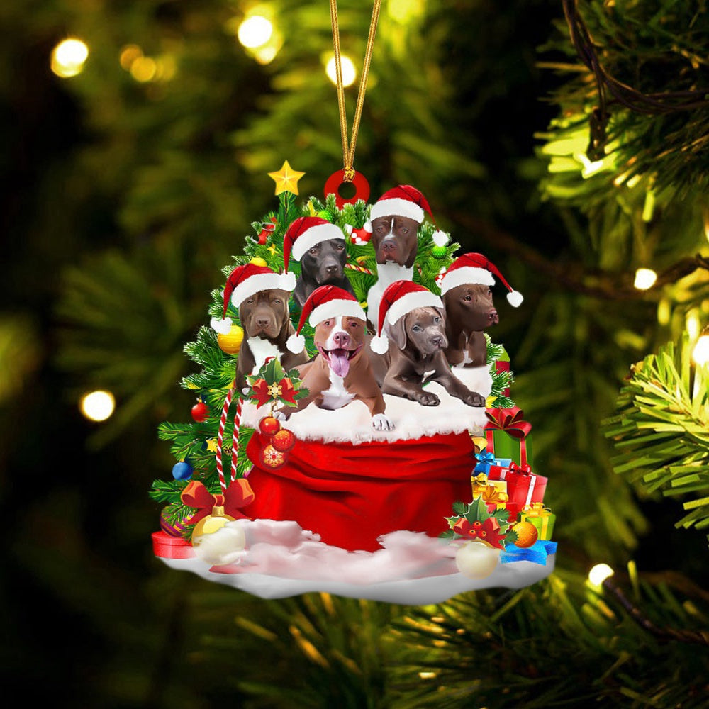 Dog Christmas Ornament, Pit Bull Dogs In A Gift Bag Christmas Ornament, Pet Christmas Ornaments