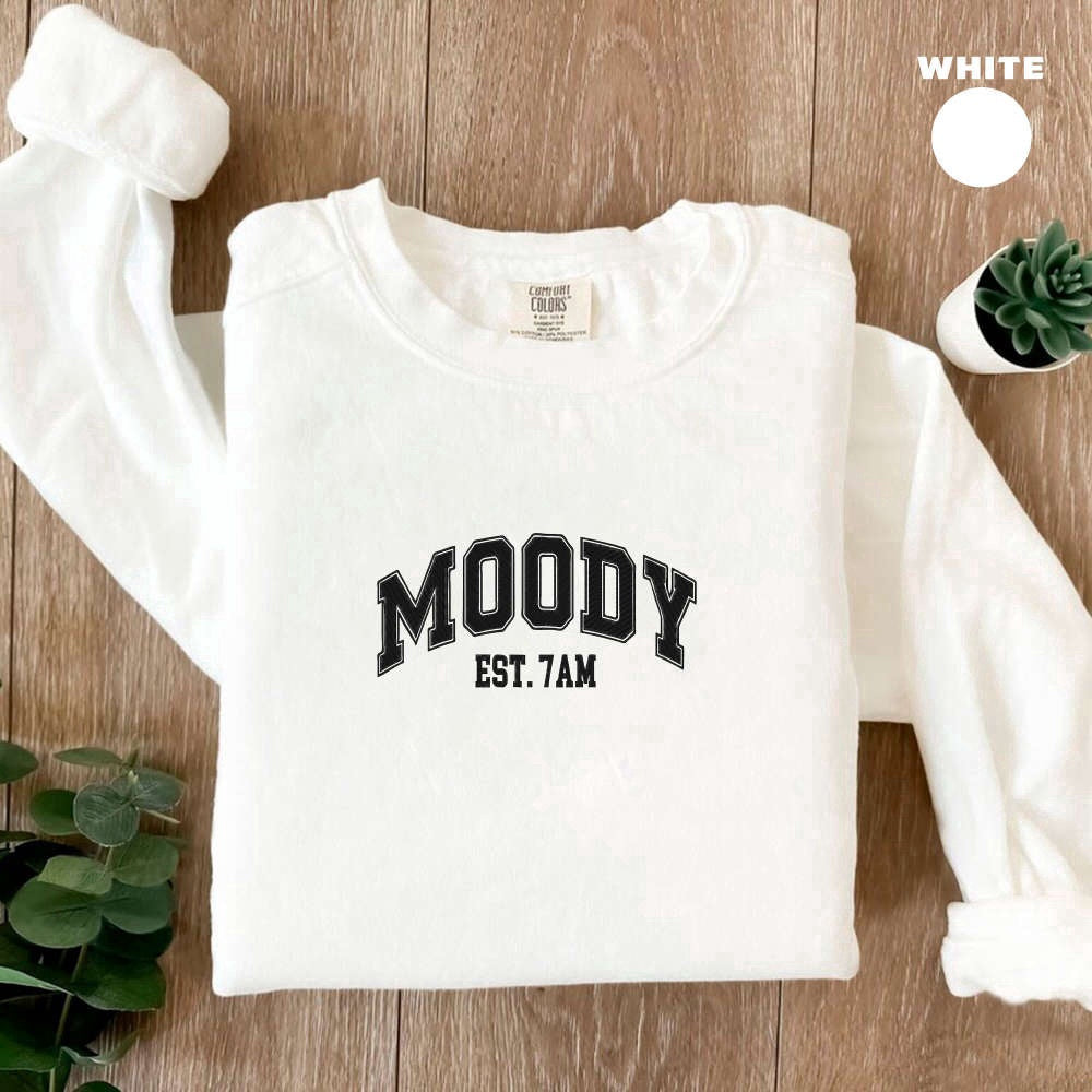 Eembroidered Custom Sweatshirts, Embroidered Moody Sweatshirt, 2D Crewneck Sweatshirt For Women And Women, Christmas Gift