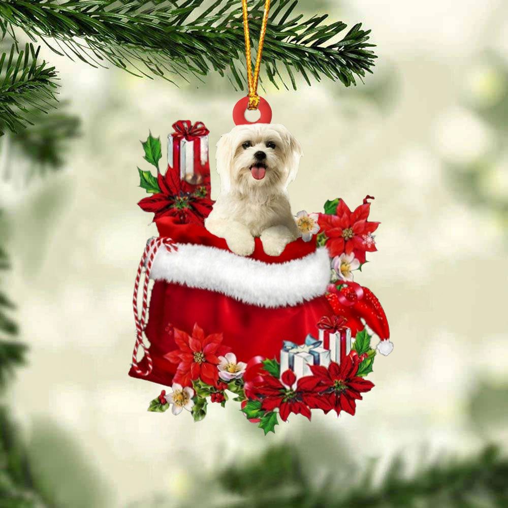 Maltese In Gift Bag Christmas Ornament, Christmas Gift, Christmas Tree Decorations, Christmas Ornament 2023