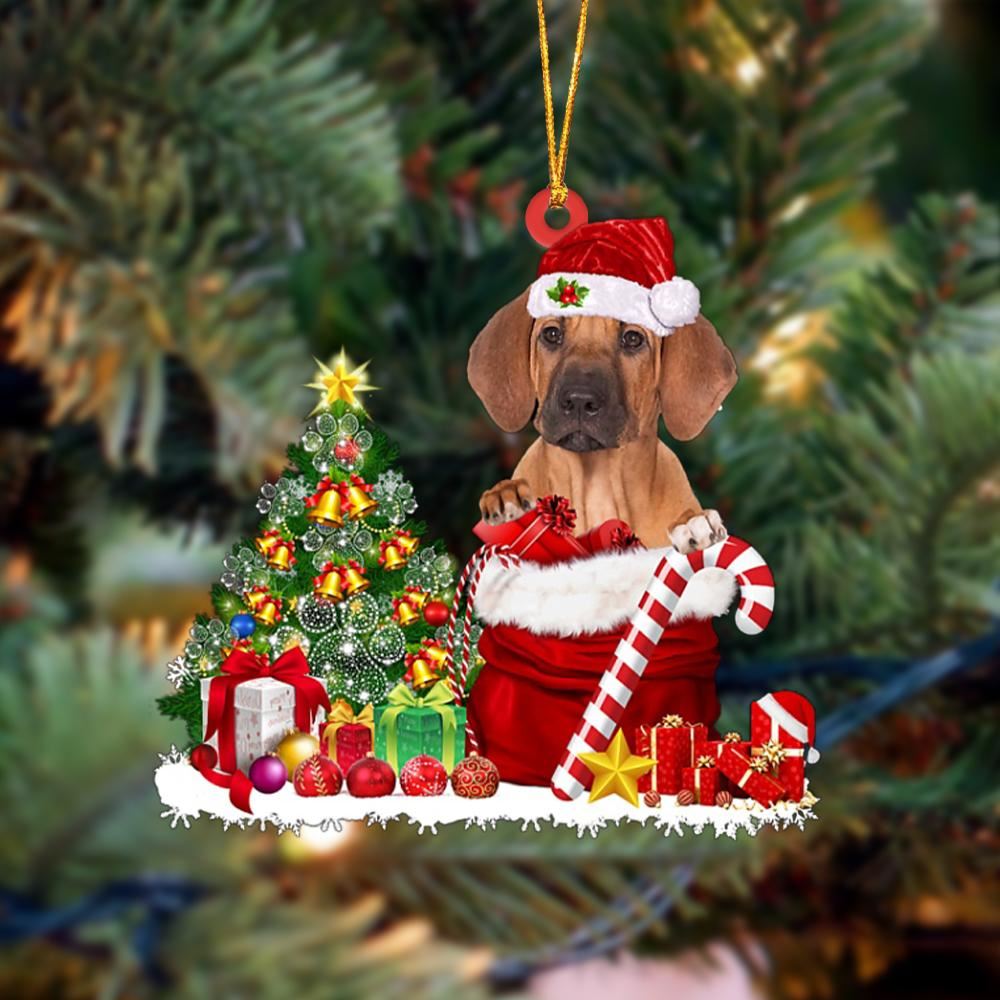 Rhodesian Ridgeback Gift Bag Merry Christmas Ornament, Christmas Gift, Christmas Tree Decorations, Christmas Ornament 2023