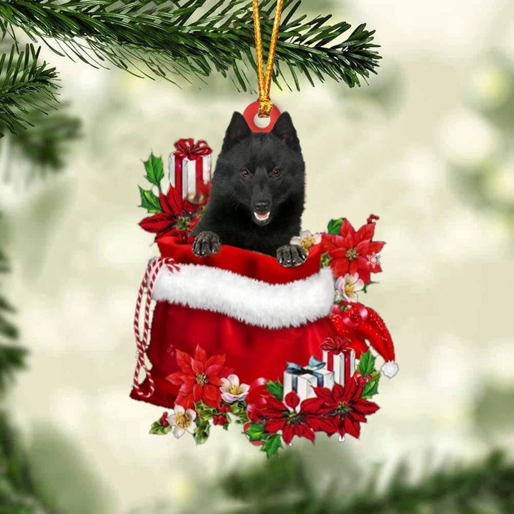 Schipperke In Gift Bag Christmas Ornament, Christmas Gift, Christmas Tree Decorations, Christmas Ornament 2023
