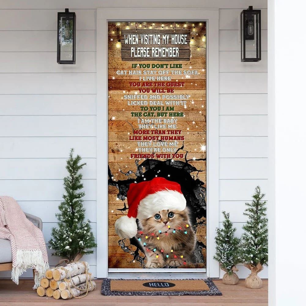 When Visiting My House Please Remember Door Cover, Cat Lover Door Cover, Christmas Door Cover, Christmas Outdoor Decoration