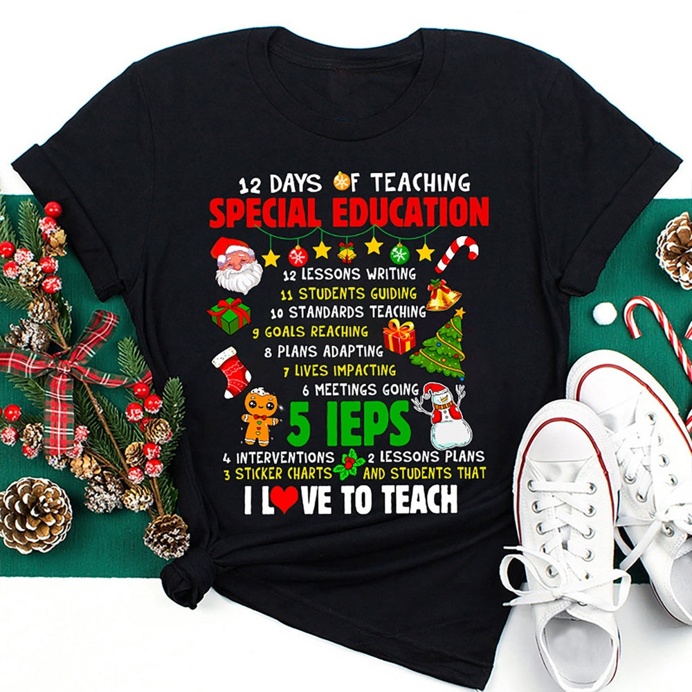 12 Days Of Teaching Special Education T Shirt, Merry T Shirt, Unisex Christmas Shirts