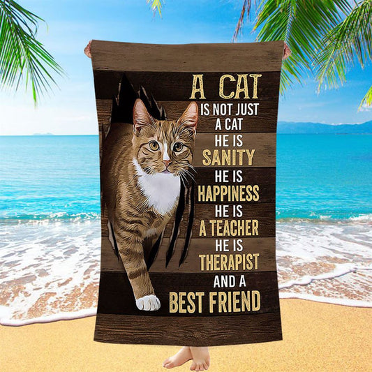 A Cat Is Not Just A Cat Beach Towel - Christian Beach Towel - Gift For Cat Lover Beach Towel