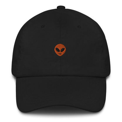 Best Embroidered Hat, Alien You Decide Embroidered Cap, Custom Embroidered Had, Embroidered Christmas Gifts