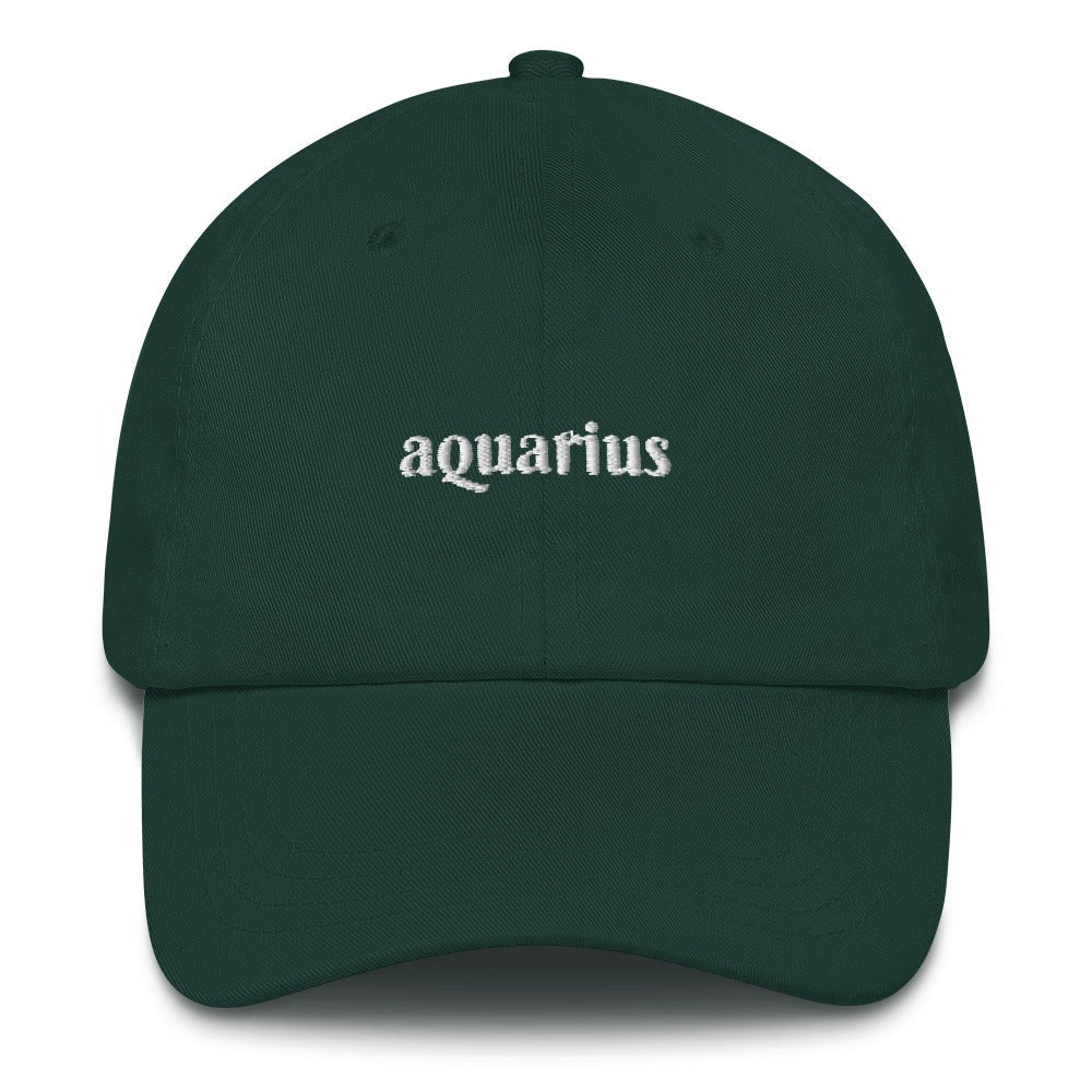 Best Embroidered Hat, Aquarius Zodiac Embroidered Cap, Custom Embroidered Had, Embroidered Christmas Gifts