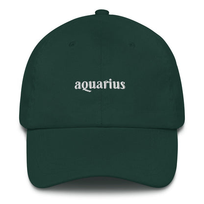 Best Embroidered Hat, Aquarius Zodiac Embroidered Cap, Custom Embroidered Had, Embroidered Christmas Gifts