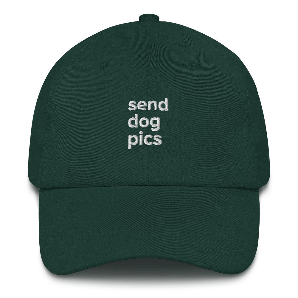 Best Embroidered Hat, Send Dog Pics Embroidered Cap, Custom Embroidered Had, Embroidered Christmas Gifts