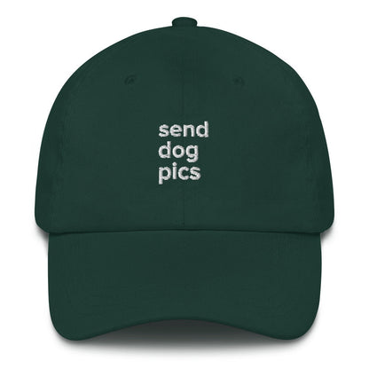 Best Embroidered Hat, Send Dog Pics Embroidered Cap, Custom Embroidered Had, Embroidered Christmas Gifts