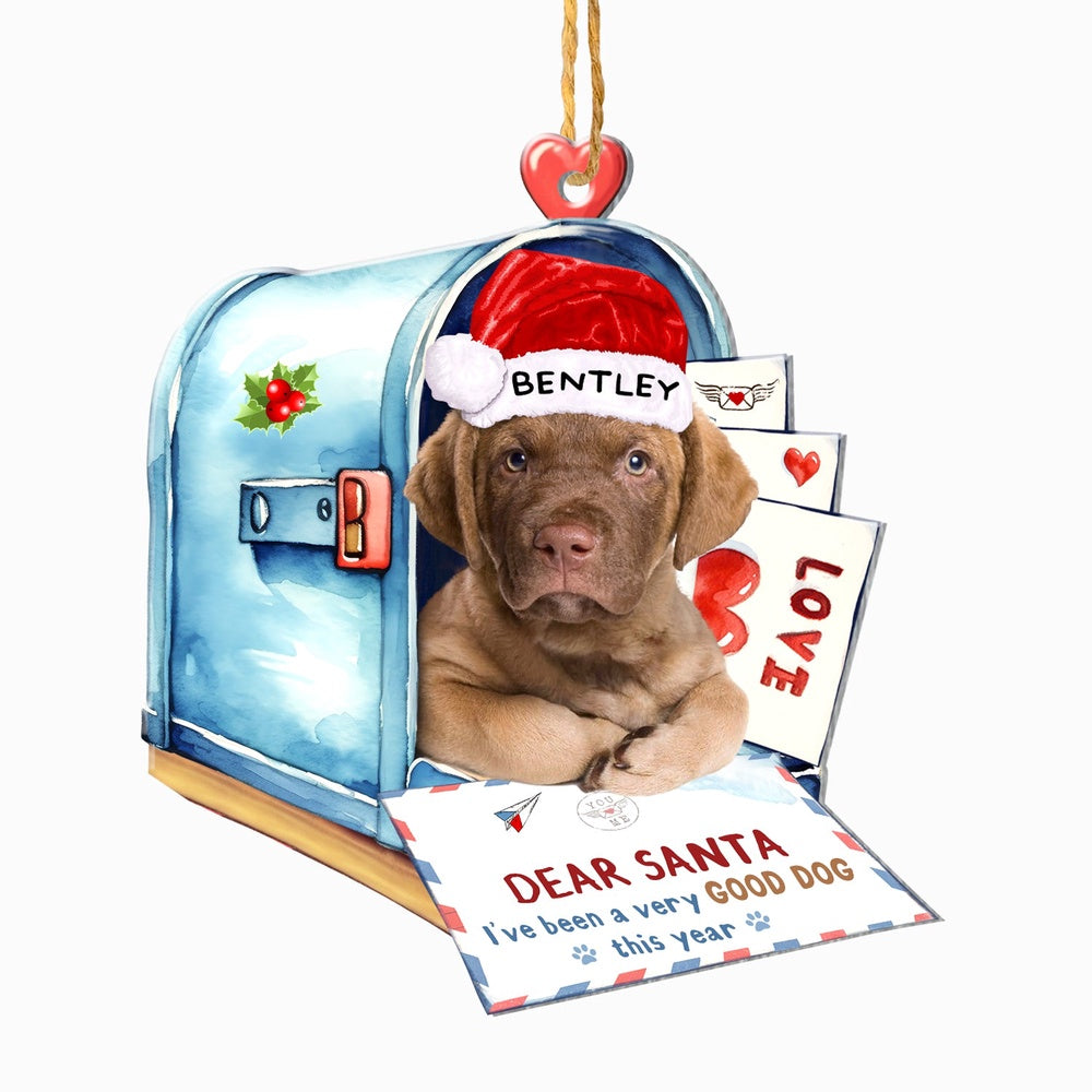 Christmas Dog Ornament, Personalized Chesapeake Bay Retriever In Mailbox Christmas Ornament, New Dog Christmas Ornament