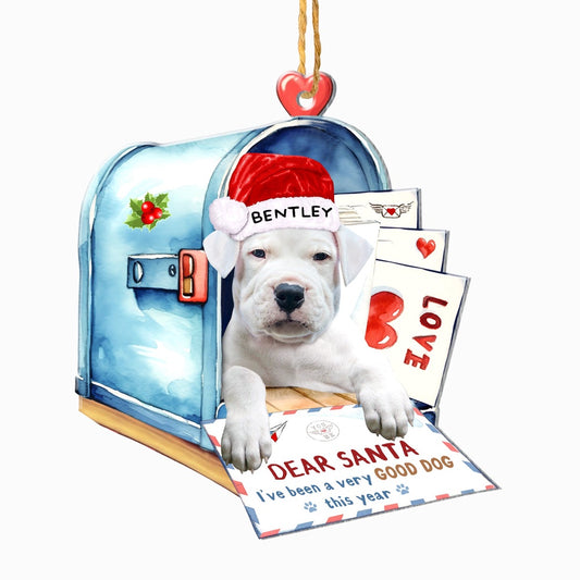Christmas Dog Ornament, Personalized Dogo Argentino In Mailbox Christmas Ornament, New Dog Christmas Ornament