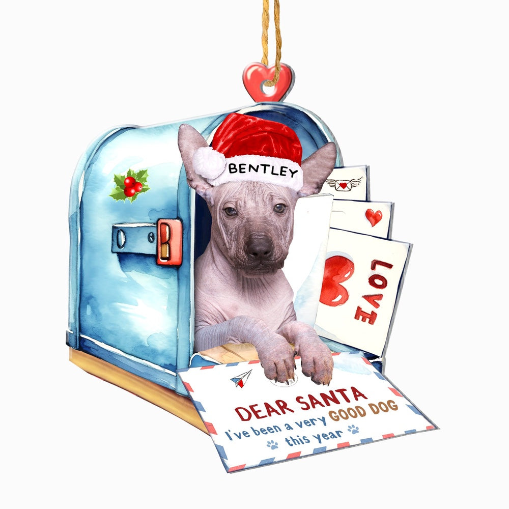 Christmas Dog Ornament, Personalized Mexican Hairless Dog In Mailbox Christmas Ornament, New Dog Christmas Ornament