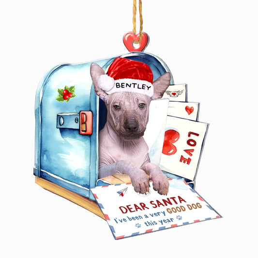Christmas Dog Ornament, Personalized Mexican Hairless Dog In Mailbox Christmas Ornament, New Dog Christmas Ornament