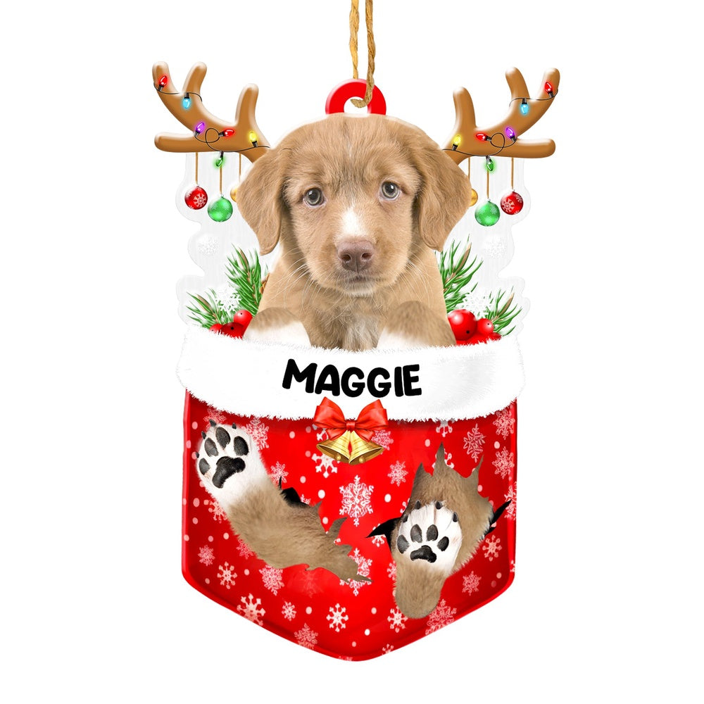 Christmas Dog Ornament, Personalized Nova Scotia Duck Tolling Retriever In Snow Pocket Christmas Acrylic Ornament, New Dog Christmas Ornament