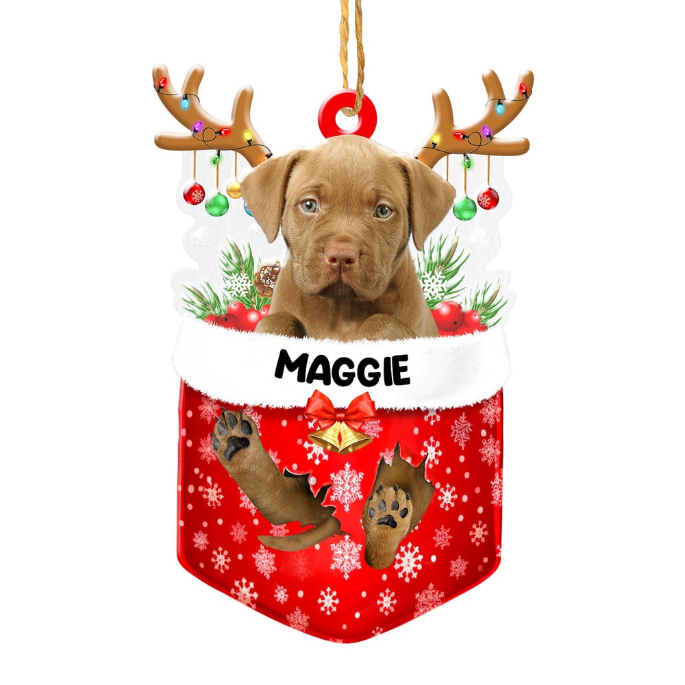 Christmas Dog Ornament, Personalized Pitbull In Snow Pocket Christmas Acrylic Ornament, New Dog Christmas Ornament