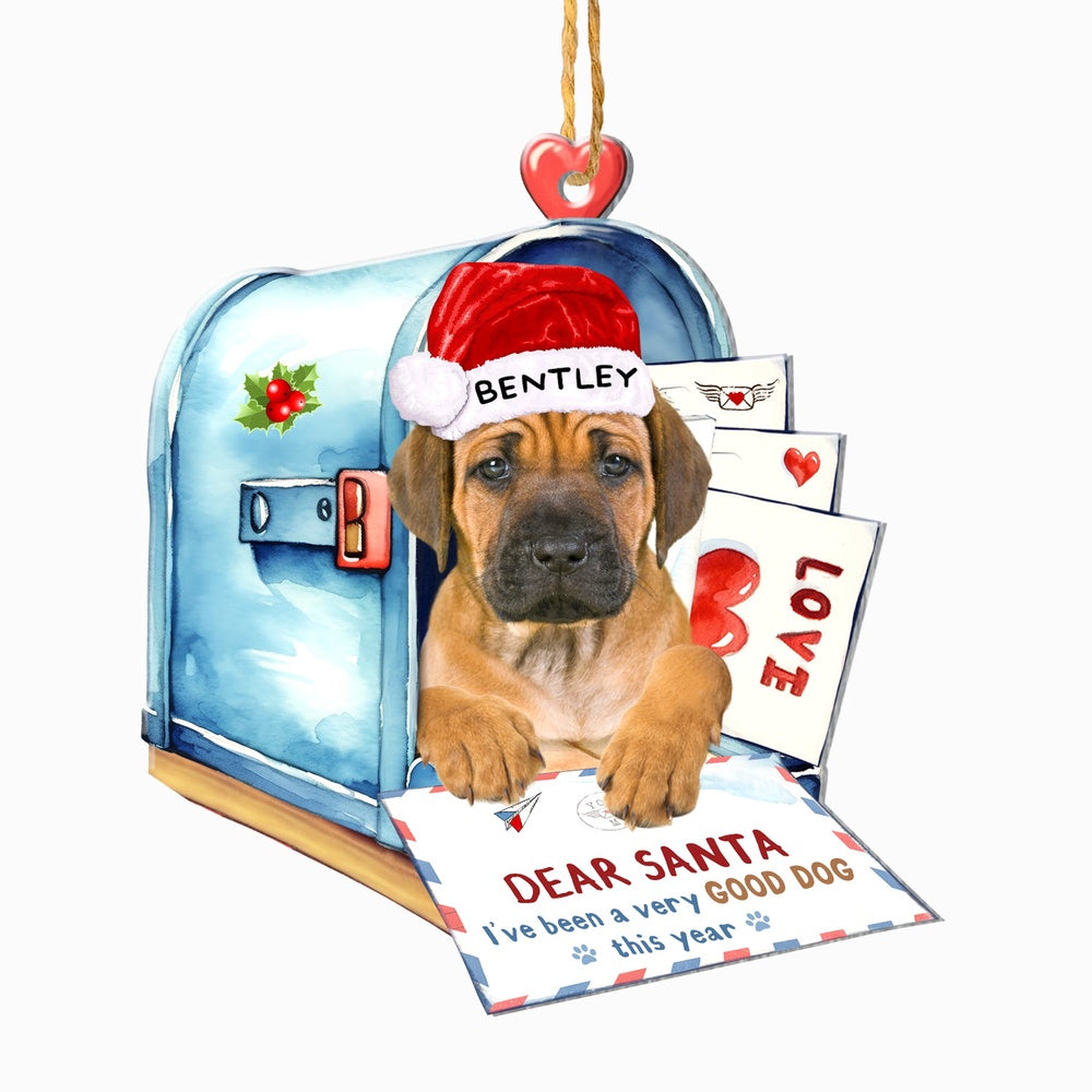 Christmas Dog Ornament, Personalized Rhodesian Ridgeback In Mailbox Christmas Ornament, New Dog Christmas Ornament