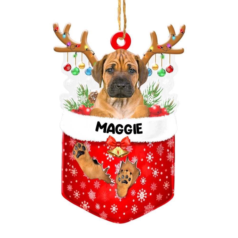 Christmas Dog Ornament, Personalized Rhodesian Ridgeback In Snow Pocket Christmas Acrylic Ornament, New Dog Christmas Ornament