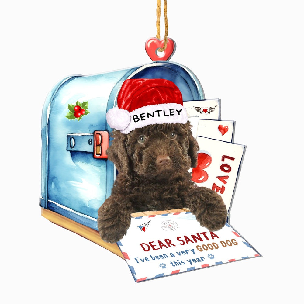 Christmas Dog Ornament, Personalized Spanish Water Dog In Mailbox Christmas Ornament, New Dog Christmas Ornament