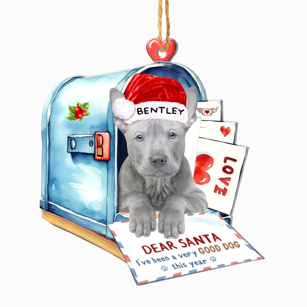 Christmas Dog Ornament, Personalized Thai Ridgeback In Mailbox Christmas Ornament, New Dog Christmas Ornament