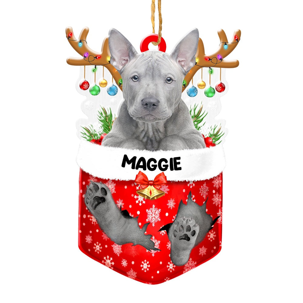 Christmas Dog Ornament, Personalized Thai Ridgeback In Snow Pocket Christmas Acrylic Ornament, New Dog Christmas Ornament
