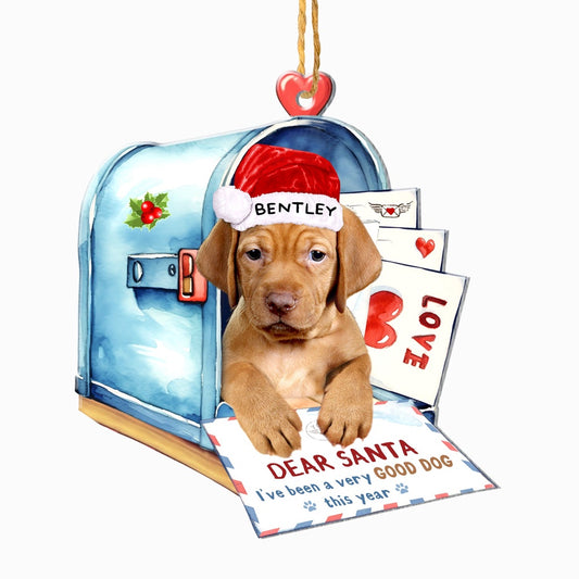 Christmas Dog Ornament, Personalized Vizsla In Mailbox Christmas Ornament, New Dog Christmas Ornament