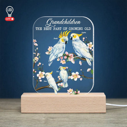 Cockatoo Bird Grandparents, Gift For Grandma Bird, Personalized Led Light Wooden Base, Mother's Day Led Light, Mom Gift