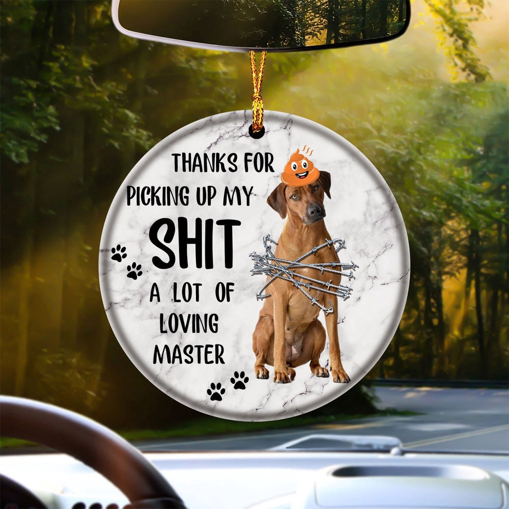 Dog Christmas Ornament, Rhodesian Ridgeback A Lot Of Loving Master Ornament, Pet Christmas Ornaments