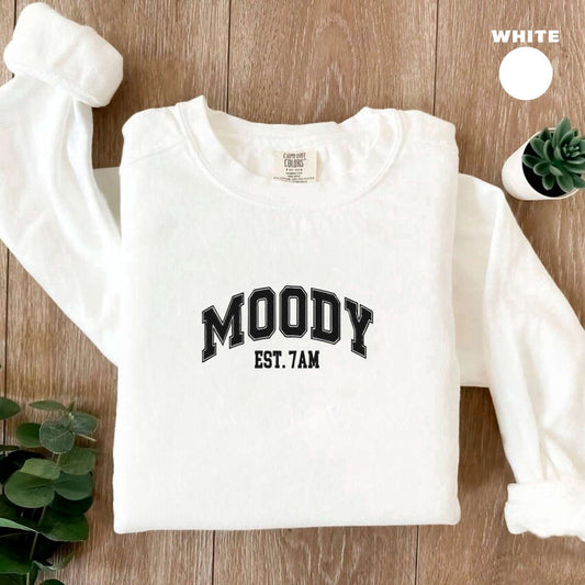 Eembroidered Custom Sweatshirts, Embroidered Moody Sweatshirt, 2D Crewneck Sweatshirt For Women And Women, Christmas Gift