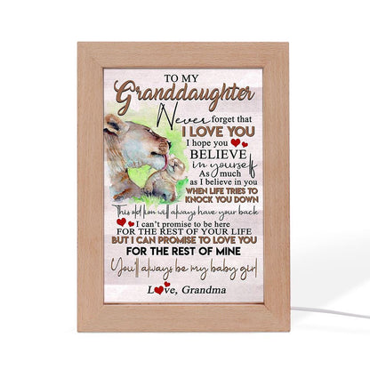 Lion Mother And Cub Baby Lion To My Granddaughter Frame Lamp, Mother's Day Night Light, Best Mom Ever, Gift For Mom