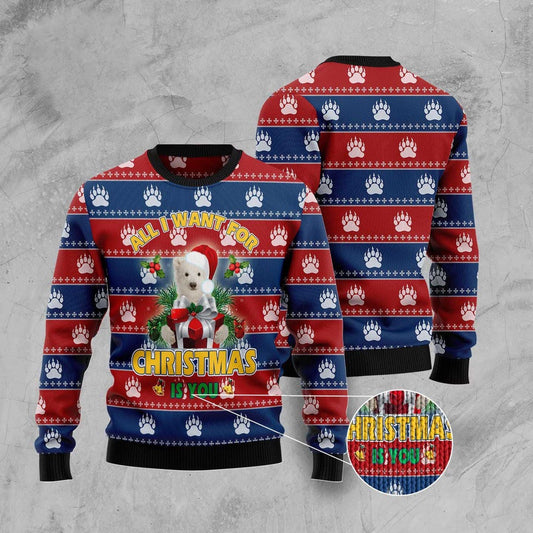 Polar Bear All I Want Christmas Ugly Christmas Sweater, Funny Xmas Sweater, Sweater Xmas