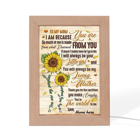 So Much Of Me Learned From You To Mom Frame Lamp, Mother's Day Night Light, Best Mom Ever, Gift For Mom