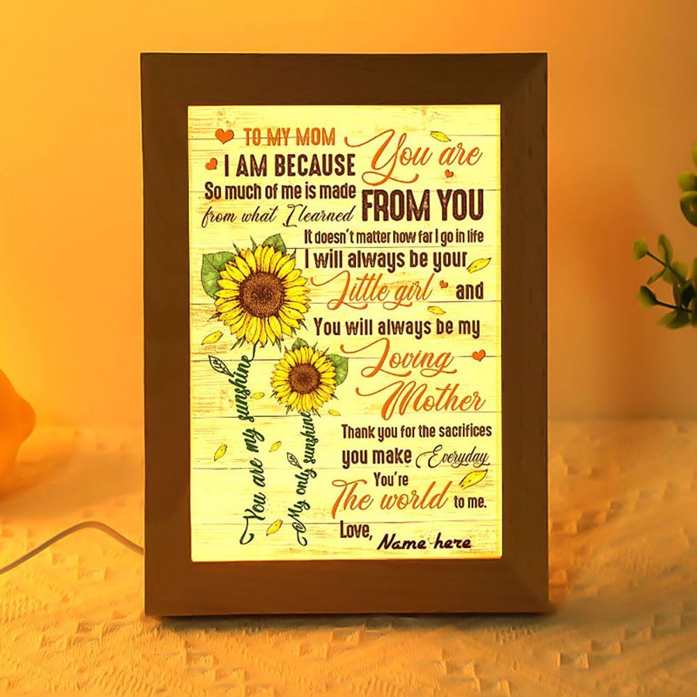So Much Of Me Learned From You To Mom Frame Lamp, Mother's Day Night Light, Best Mom Ever, Gift For Mom