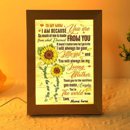 So Much Of Me Learned From You To Mom Frame Lamp, Mother's Day Night Light, Best Mom Ever, Gift For Mom