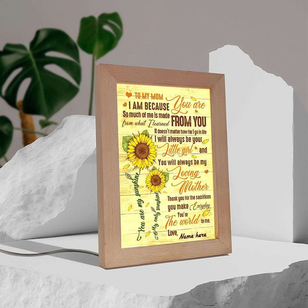 So Much Of Me Learned From You To Mom Frame Lamp, Mother's Day Night Light, Best Mom Ever, Gift For Mom