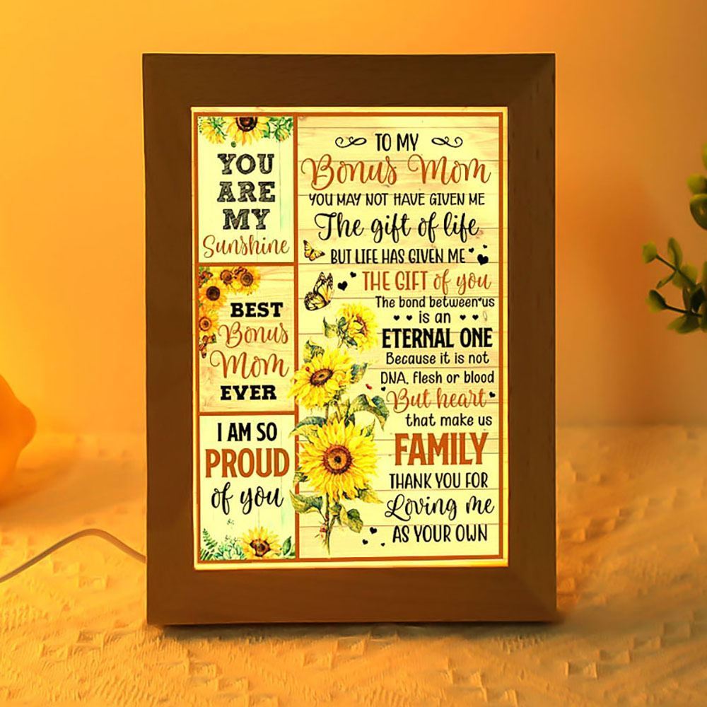 You May Not Have Give Me The Gift Of Life Frame Lamp, Mother's Day Night Light, Best Mom Ever, Gift For Mom