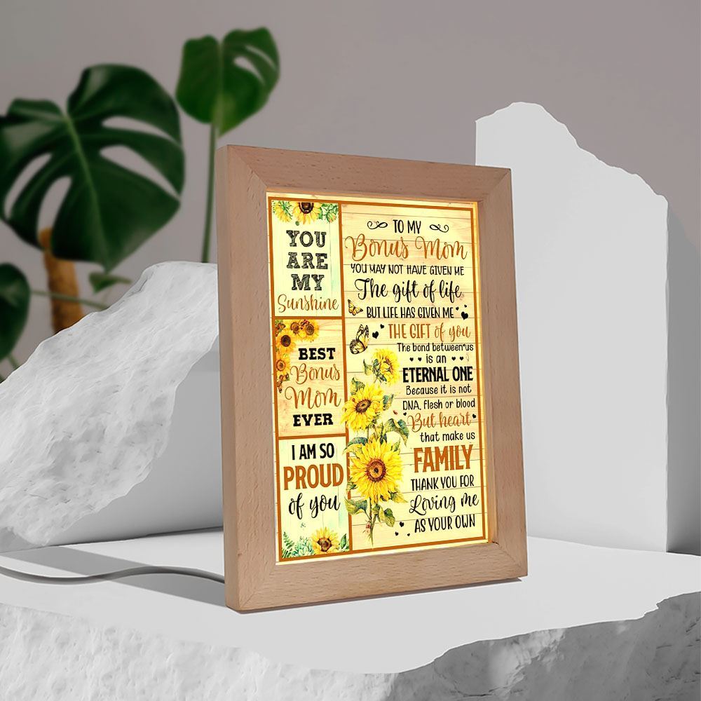 You May Not Have Give Me The Gift Of Life Frame Lamp, Mother's Day Night Light, Best Mom Ever, Gift For Mom