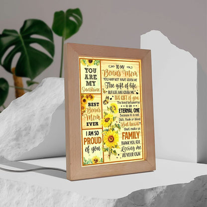 You May Not Have Give Me The Gift Of Life Frame Lamp, Mother's Day Night Light, Best Mom Ever, Gift For Mom