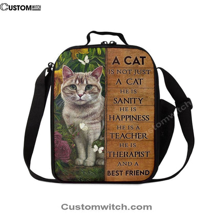 A Cat Is Not Just A Cat Lunch Bag, Christian Lunch Box, Christian Lunch Bag For School, Picnic, Religious Lunch Bag