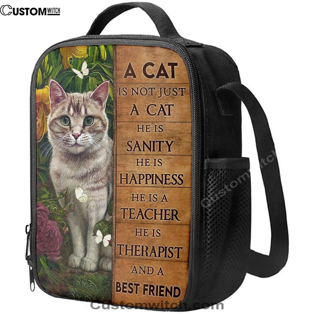 A Cat Is Not Just A Cat Lunch Bag, Christian Lunch Box, Christian Lunch Bag For School, Picnic, Religious Lunch Bag