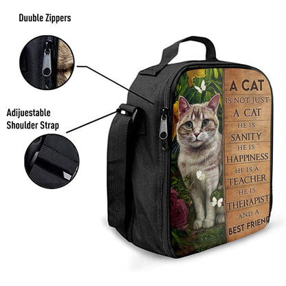 A Cat Is Not Just A Cat Lunch Bag, Christian Lunch Box, Christian Lunch Bag For School, Picnic, Religious Lunch Bag