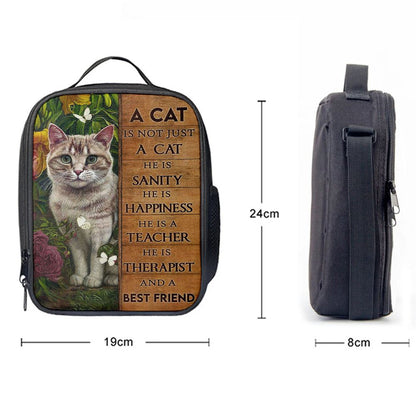 A Cat Is Not Just A Cat Lunch Bag, Christian Lunch Box, Christian Lunch Bag For School, Picnic, Religious Lunch Bag