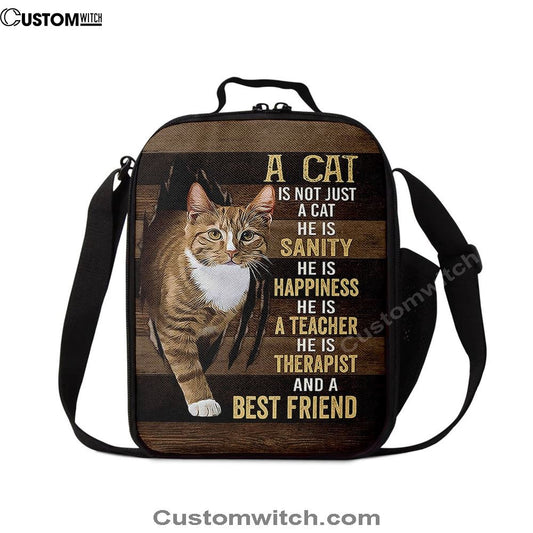 A Cat Is Not Just A Cat Lunch Bag, Gift For Cat Lover, Christian Lunch Bag For School, Picnic, Religious Lunch Bag