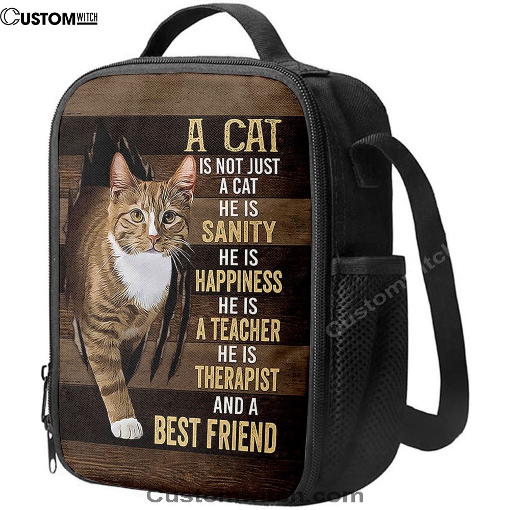 A Cat Is Not Just A Cat Lunch Bag, Gift For Cat Lover, Christian Lunch Bag For School, Picnic, Religious Lunch Bag