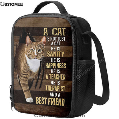A Cat Is Not Just A Cat Lunch Bag, Gift For Cat Lover, Christian Lunch Bag For School, Picnic, Religious Lunch Bag