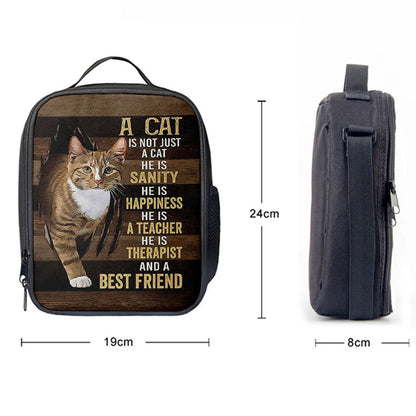 A Cat Is Not Just A Cat Lunch Bag, Gift For Cat Lover, Christian Lunch Bag For School, Picnic, Religious Lunch Bag
