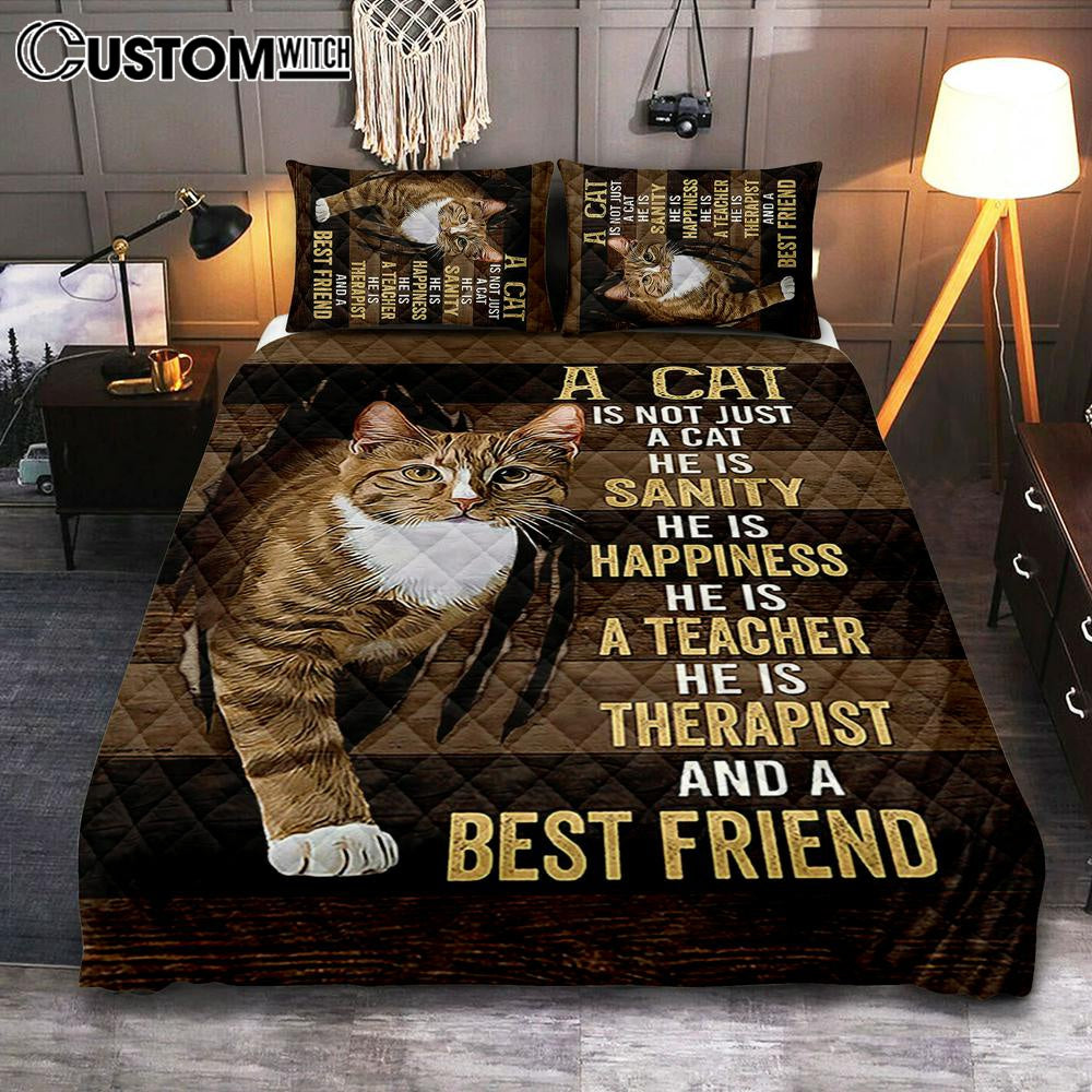 A Cat Is Not Just A Cat Quilt Bedding Set Art - Christian Bedroom Decor - Gift For Cat Lover Quilt Bedding Set