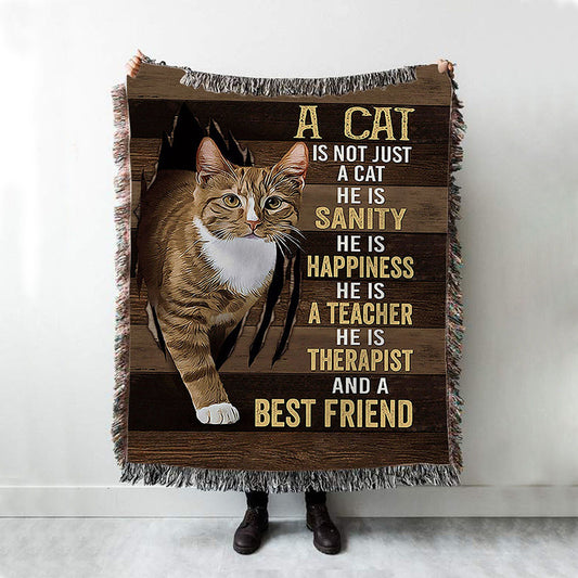 A Cat Is Not Just A Cat Woven Blanket Art - Christian Throw Blanket Decor - Gift For Cat Lover Woven Blanket